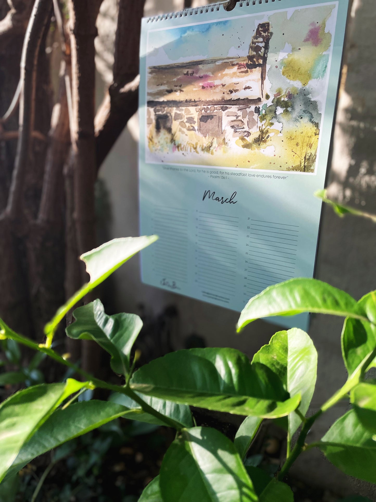 Artful Celebrations - Birthday Calendar