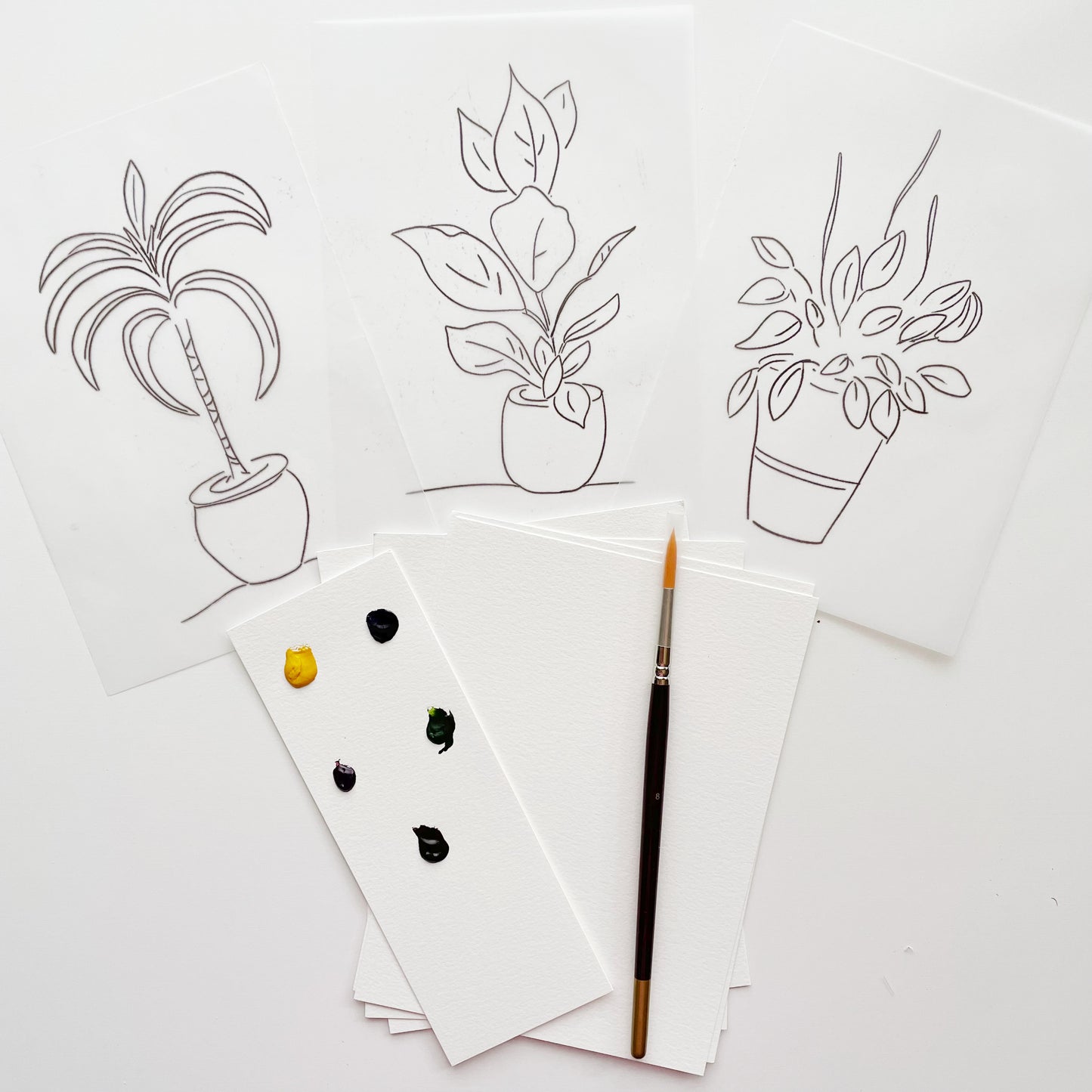Funtastic Potplants - "Workshop to Go" Watercolour Kit