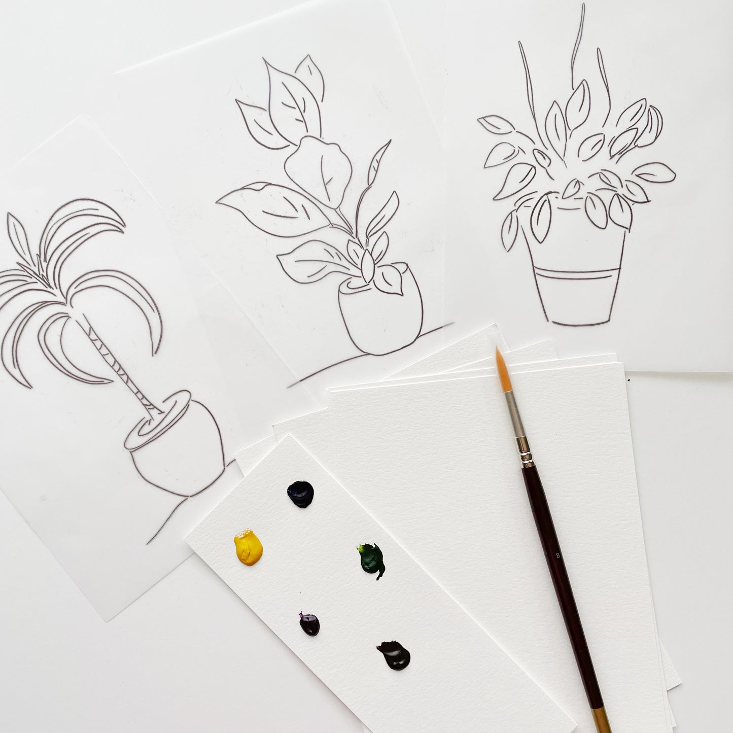 Funtastic Potplants - "Workshop to Go" Watercolour Kit