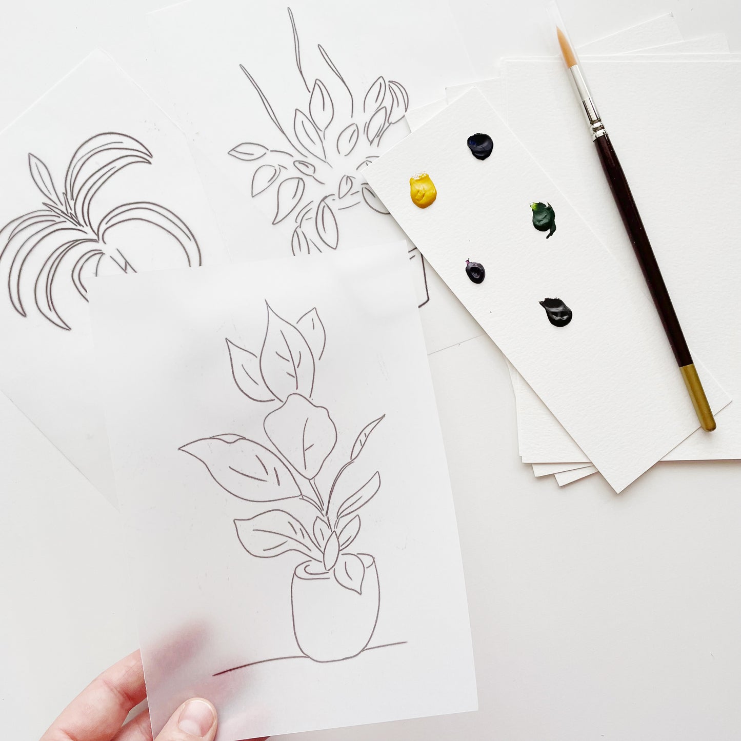 Funtastic Potplants - "Workshop to Go" Watercolour Kit