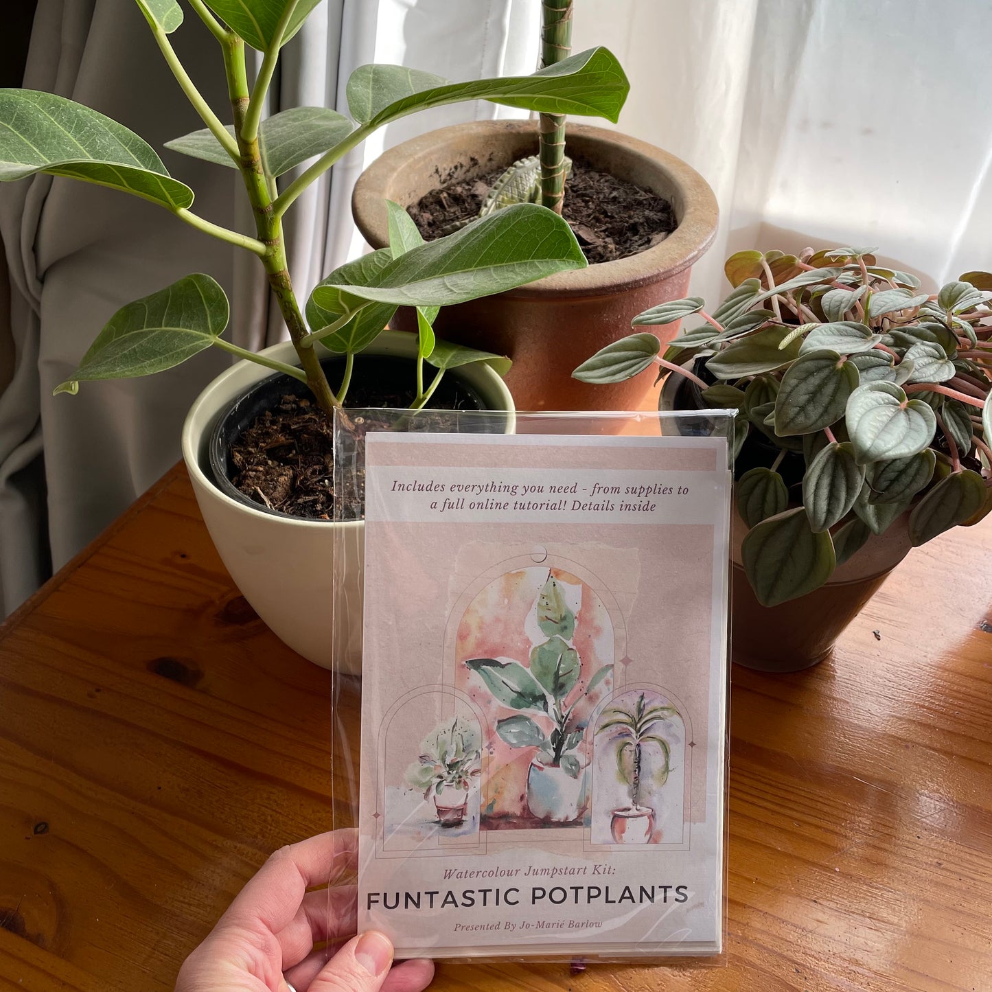 Funtastic Potplants - "Workshop to Go" Watercolour Kit