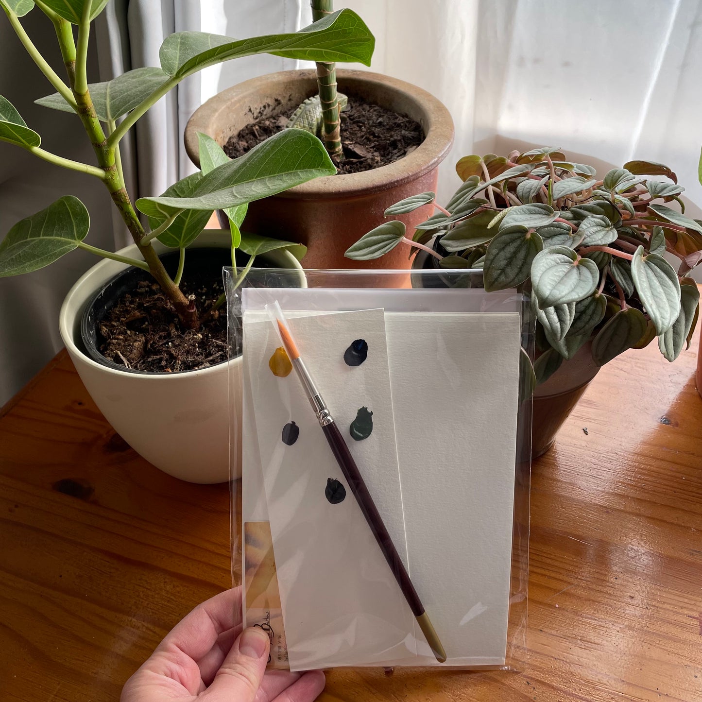 Funtastic Potplants - "Workshop to Go" Watercolour Kit