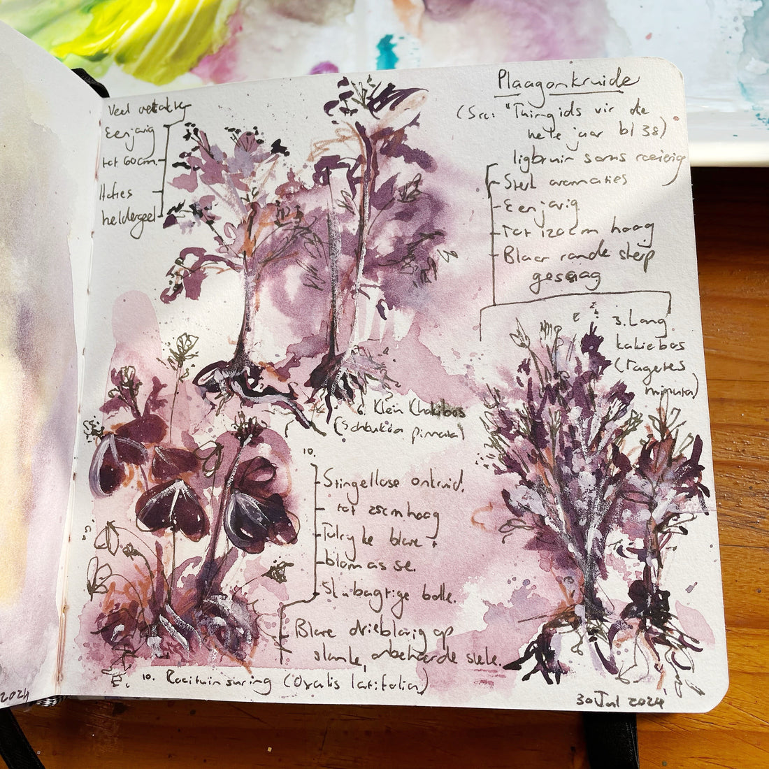 Sketchbook Share: Pretty (sketchy) weeds