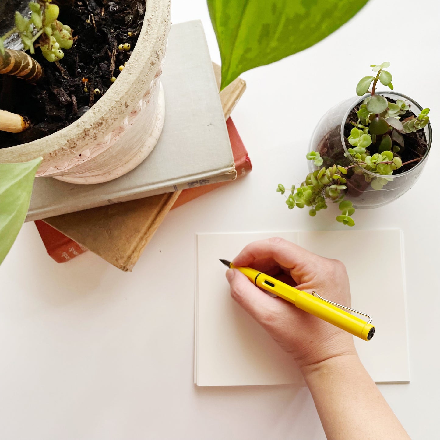 A6 pocket notebook - "Picking Mulberries"