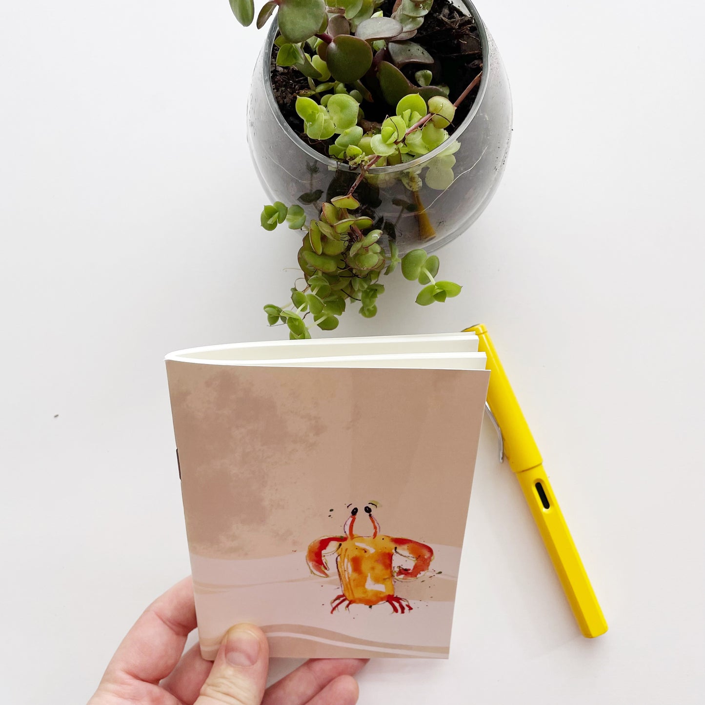 A6 pocket notebook - "Dancing Crabs"