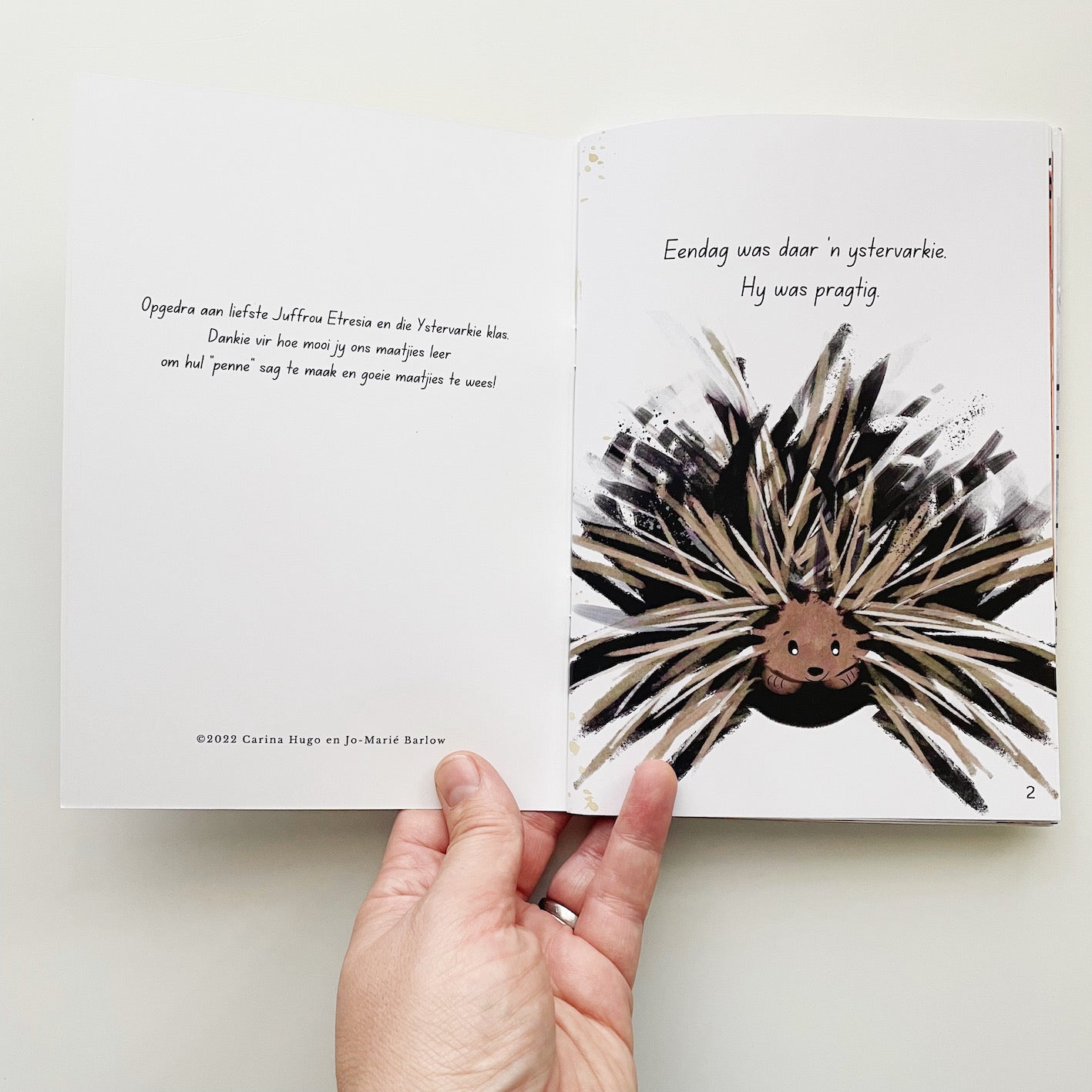 Pre-order: Ystervarkie se Grootste Geskenk | Little Porcupine's Biggest Gift