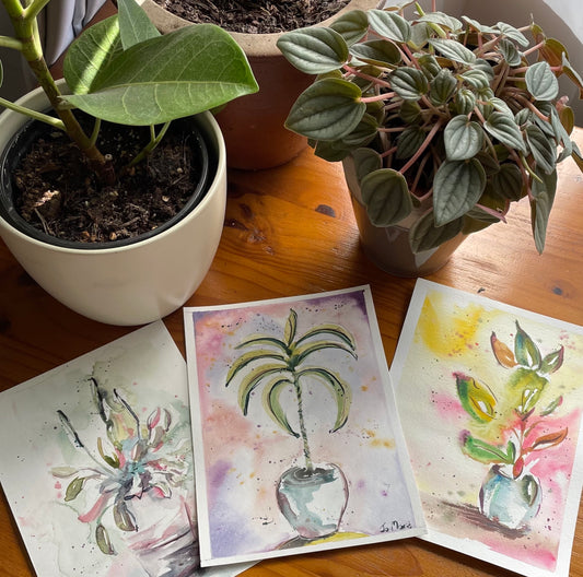 Funtastic Potplants - "Workshop to Go" Watercolour Kit