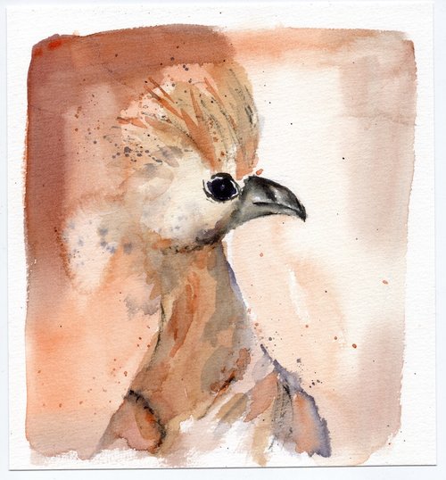 Summer Birds Watercolour Workshop